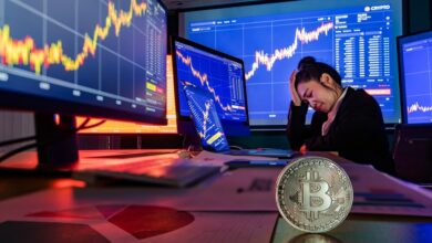 Cryptocurrency Investment Risks